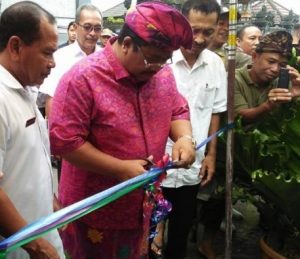 Bupati Buleleng Resmikan Air Bersih di Desa Madenan