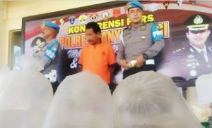 Polres Banyuwangi Ungkap Penyelundupan 25 Ribu Ekor Benur Lobster, Omset 1,5 Miliar di Banyuwangi