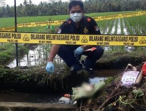 Dikira Bangkai Babi, Seorang Petani Temukan Orok Bayi