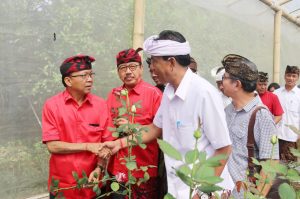 Sosialisasi Pergub No 99/2018, Lima Perusahaan Teken MoU dengan Petani