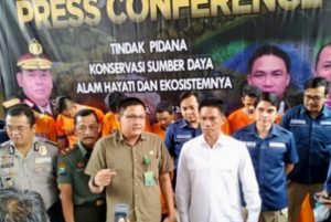 Subdit IV Tipiter Ditreskrimsus Polda Jatim Berhasil Amankan 9 Pelaku Penjual Hewan Satwa Dilindungi di Jember