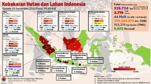 99% Akibat Ulah Manusia Sendiri, Kepala BNPB: Butuh Dukungan Semua Pihak Atasi Karhutla