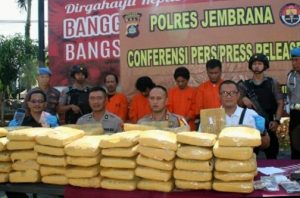 Satresnarkoba Polres Jembrana Gagalkan Penyelundupan 100 Kg Ganja Kering di Banyuwangi
