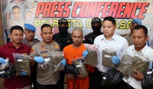 Simpan Ganja 7,6 Kg Siap Edar, Pria Asal Banyuwangi Diamankan Sat Resnarkoba Polresta Denpasar di Banyuwangi
