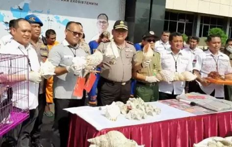 Gagalkan Penjualan Satwa Dilindungi Secara Ilegal, Polda Jatim Amankan Lima Tersangka