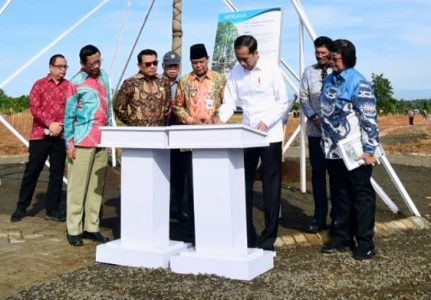 Hadiri Puncak Peringatan HPN 2020, Presiden Jokowi Resmikan Hutan Pers Taman Spesies Endemik Indonesia