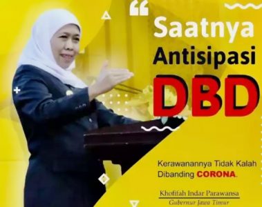 Kerawanan Tidak Kalah Dibanding Covid-19, Gubernur Khofifah Minta Masyarakat Jatim Antisipasi Virus DBD