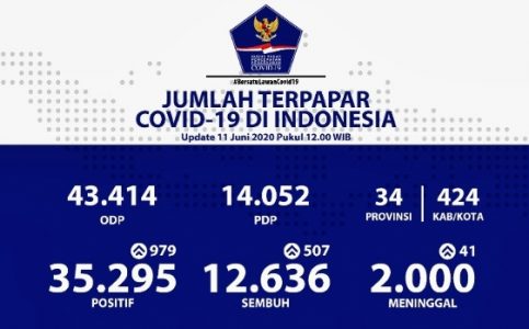 Per 11 Juni Data Covid-19 RI: Kasus Positif 35.295, Sembuh 12.636 dan Meninggal 2.000 Orang