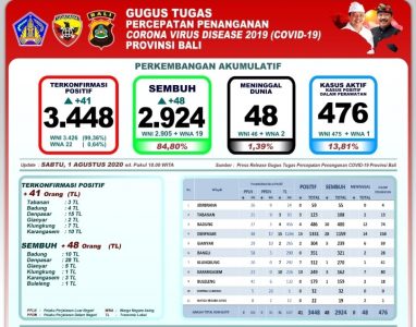 UPDATE Covid-19 di Bali: Jumlah Kumulatif Positif 3.448, Pasien Sembuh Capai 84,80 Persen