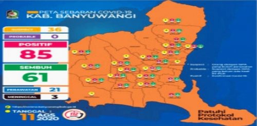 Pasien Sembuh Covid-19 di Banyuwangi Terus Bertambah, Hingga Per 11 Agustus Tingkat Kesembuhan 71,7 Persen di Banyuwangi