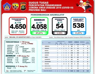 Bali Per Hari Ini: Tambah 74 Kasus Positif, Sembuh 51 dan 1 Pasien Meninggal