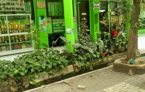 Sebanyak 14 Lembaga Pendidikan Jenjang SD dan SMP Lolos Penilaian Adiwiyata Kota Surabaya 2020