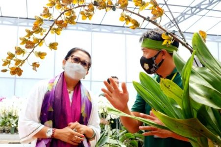 Angkat Potensi Lokal, Ny Putri Koster: Saya Ingin ada Pameran Khusus Anggrek Bali