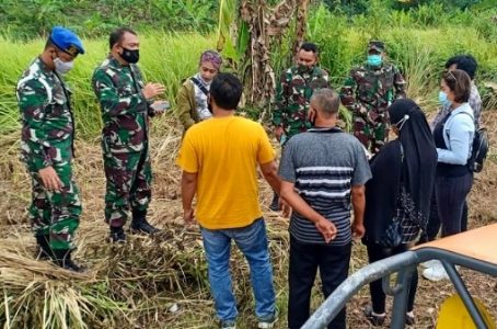 Yakinkan Kesiapan Ketahanan Pangan Tanaman Porang di Jembrana, Kodam Udayana Turunkan Tim Asistensi