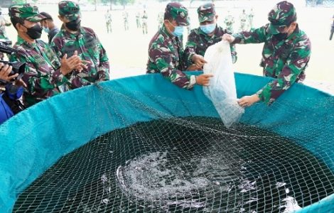 Wujudkan Ketahanan Pangan, Korem 163/Wira Satya Budidayakan Lele dan Hidroponik