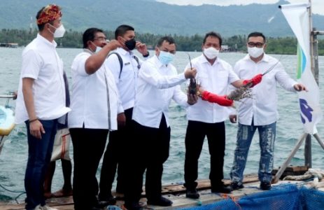 Menteri KKP Sakti Wahyu Lepas Ekspor Perdana Lobster Hasil Budidaya GPLI di Bali