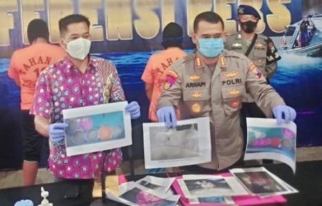 Ditpolairud Polda Jatim Berhasil Bongkar Transaksi Benih Lobster Tak Berijin