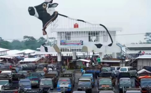 Setelah Sekian Lama Ditunggu, Akhirnya Pasar Hewan Jelok Mulai Beroperasi