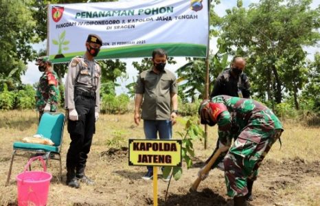 Dukung Ketahanan Pangan, Kapolda Jateng Bersama Pangdam IV Diponegoro Tanam Pohon di Sragen