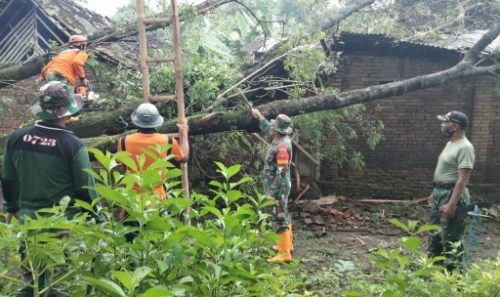 Rumah Rusak Tertimpa Pohon, Anggota TNI dan Polri Sinergi Perbaiki Rumah Riyadi
