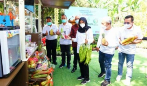 Banyuwangi Luncurkan Program ‘Jagoan Tani’, Anak Muda Dimodali Ratusan Juta untuk Bisnis Pertanian di Banyuwangi