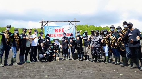 Gubernur Jatim Tanam Ribuan Mangrove di KEE Teluk Pangpang, Banyuwangi di Banyuwangi