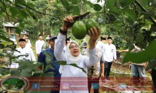 Ngantor di Desa Bumiharjo, Bupati Ipuk Getol Gali berbagai Potensi di Sektor Pertanian di Banyuwangi