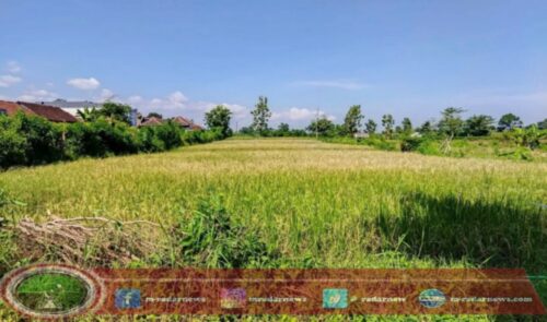 Tanggapi Tarif PBB Naik Signifikan, Bidang Pertanian dan Peternakan Bisa Ajukan Tarif Khusus di Jember