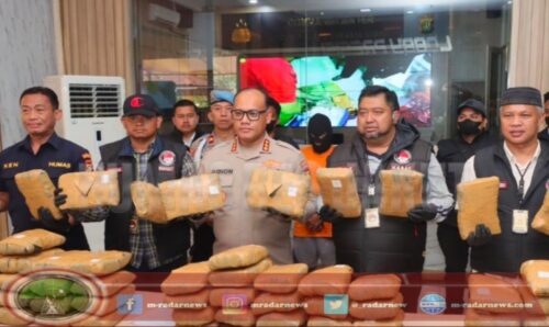 Polres Metro Jakut Gagalkan Peredaran 77 Kg Ganja, Dua Orang Pelaku Berhasil Diamankan