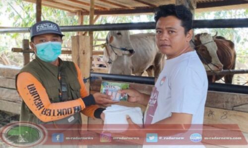Tingkatkan Kesejahteraan Peternak, Banyuwangi Genjot Produktivitas Sapi Indukan Melalui Program “SMS PISAN” di Banyuwangi