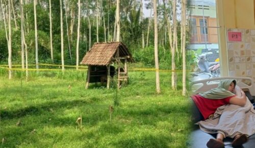 Viral di Medsos, Siswi Kelas 1 MI Ditemukan Tewas di Kebun Diduga Diperkosa Hingga Tewas, Polisi Masih Selidiki