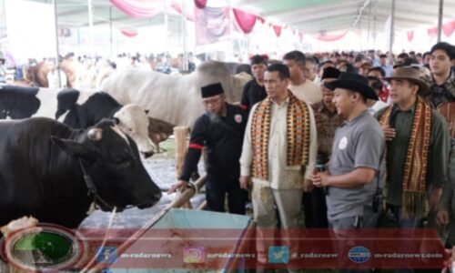 Dengar Langsung Kronologi Persoalan, Mentan Selesaikan Curhatan Peternak Kambing Asal Madiun