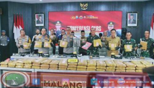 Polresta Malang Kota Gagalkan Ratusan Kilo Ganja Siap Edar, Enam Tersangka Berhasil Ditangkap