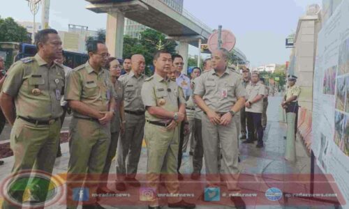 Pemprov DKI Jakarta Tingkatkan Mitigasi Pohon Tumbang Selama Musim Hujan