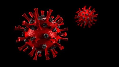 Menkes Budi Gunadi Tegaskan Virus HMPV Tidak Menyebabkan Kematian