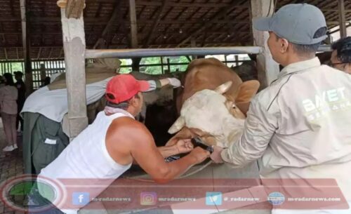 Begini Upaya Pemprov Jateng Atasi Merebaknya Wabah PMK