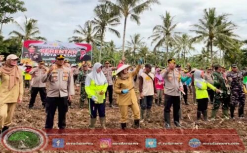 Dukung Program Penanaman Jagung 1 Juta Hektare, Banyuwangi Siapkan Lahan Seluas 650 Hektare di Banyuwangi