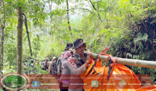 Update Pencarian Korban Longsor di Wilayah Petungkriyono: Satu Korban Ditemukan, Total 23 Korban Meninggal