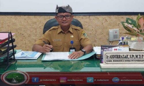 Jelang Lebaran Idul Adha 1446 H, Kebutuhan Hewan Kurban di Bumi Blambangan Surplus  di Banyuwangi