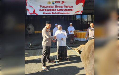 Jelang Hari Raya Idul Adha 1446 H, Polresta Banyuwangi Serahkan Puluhan Hewan Kurban di Banyuwangi