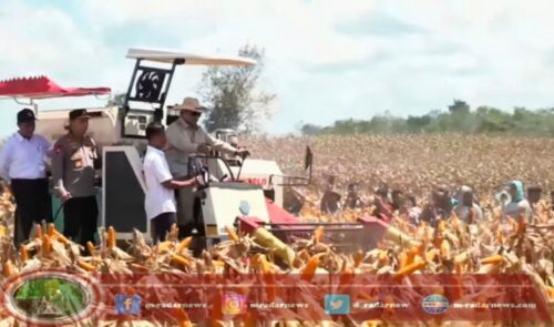 Presiden Pimpin Panen Raya Jagung Serentak di 36 Polda, Tekankan Ketahanan Pangan sebagai Fondasi Kemerdekaan Bangsa