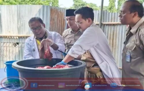 Sudin KPKP Jaktim Musnahkan Puluhan Kilogram Organ Kurban Tak Layak Konsumsi