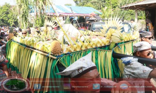 Sebagai wujud Syukur, Beragam Tumpeng Hasil Pertanian Disuguhkan di Tradisi Takir Sewu Banyuwangi di Banyuwangi