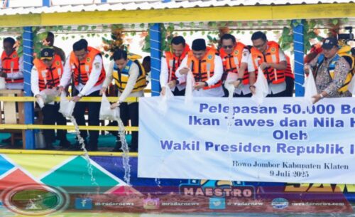 Wapres Gibran Tebar Ribuan Benih Ikan di Rowo Jombor, Perkuat Ketahanan Pangan dan Ekosistem Klaten