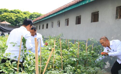 Lapas Banyuwangi Ubah Lahan Sempit jadi Pertanian Produktif untuk Dukung Ketahanan Pangan di Banyuwangi