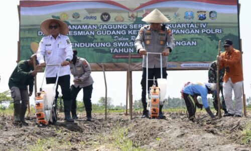 Dukung Swasembada Pangan Presiden, Banyuwangi Gelar Tanam Jagung Serentak  di Banyuwangi