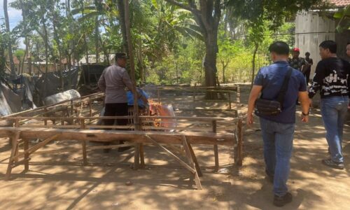 Respon Cepat Aduan Warga, Polsek Kalipuro Bongkar Arena Judi Sabung Ayam di Banyuwangi