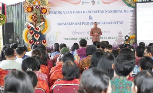 Peringatan HKN ke-61, Sekda Dewa Indra Ajak Tenaga Kesehatan Terus Asah Pengetahuan dan Pengalaman