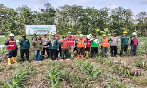 Perum Perhutani Gelar Penanaman Bersama di Petak 76 KPH Banyuwangi Selatan di Banyuwangi