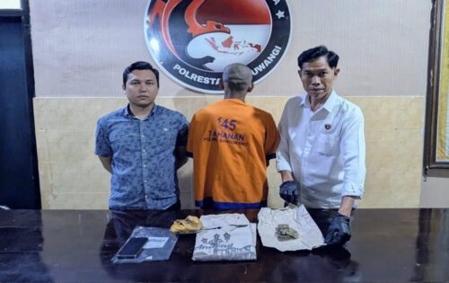 Satresnarkoba Polresta Banyuwangi Gagalkan Pengiriman Ganja 32,86 Gram, Satu Tersangka Diamankan di Banyuwangi